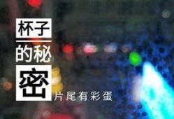 德州饭店爆料视频最新版,揭露惊人内幕，真相令人震惊！