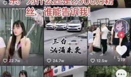 猛子直播爆料最新消息今天,今日热点事件深度解析
