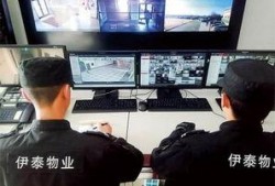 大荔最新爆料消息新闻,揭秘事件背后惊人真相