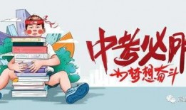 鲨鱼最新爆料消息视频,揭秘最新视频背后的惊人真相