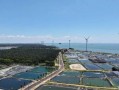 湛江徐闻最新爆料,揭秘神秘事件背后的真相